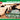 MikroMir 1/48 Mikro Mir Soviet Light Tank T - 70 / T - 70M - Fusion Scale Hobbies