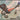 Roden 1/72 Roden Nieuport 24bis WWI BiPlane Fighter - Fusion Scale Hobbies