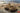 Ryefield 1/35 Ryefield Model Pz. Kpfw. III Ausf. J w/full i