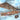 Special Hobby 1/48 Special Hobby Albatros C.III Captured & Foreign Service - Plastic Model Kit - Fusion Scale Hobbies