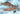 Special Hobby 1/48 Special Hobby Albatros C.III Captured & Foreign Service - Plastic Model Kit - Fusion Scale Hobbies