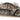 Special Hobby 1/72 Special Armour SdKfz 11/4 Nebelkraftwagen 1/72 - Fusion Scale Hobbies