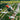 Squadron Signal Book - F - 16 Fighting Falcon In Action - Fusion Scale Hobbies