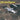 Squadron Signal F - 104 Starfighter In Action - Fusion Scale Hobbies