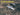 Squadron Signal F - 104 Starfighter In Action - Fusion Scale Hobbies