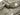 Tamiya 1/48 Us Medium Tank M4A3E8 Sherman - 32595