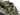 Tamiya 1/35 Us Self-Propelled 155Mm Gun - 35351