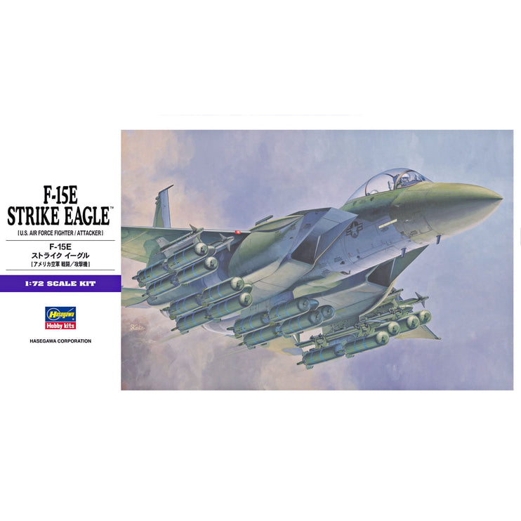 Hasegawa F-15E Strike Eagle E10