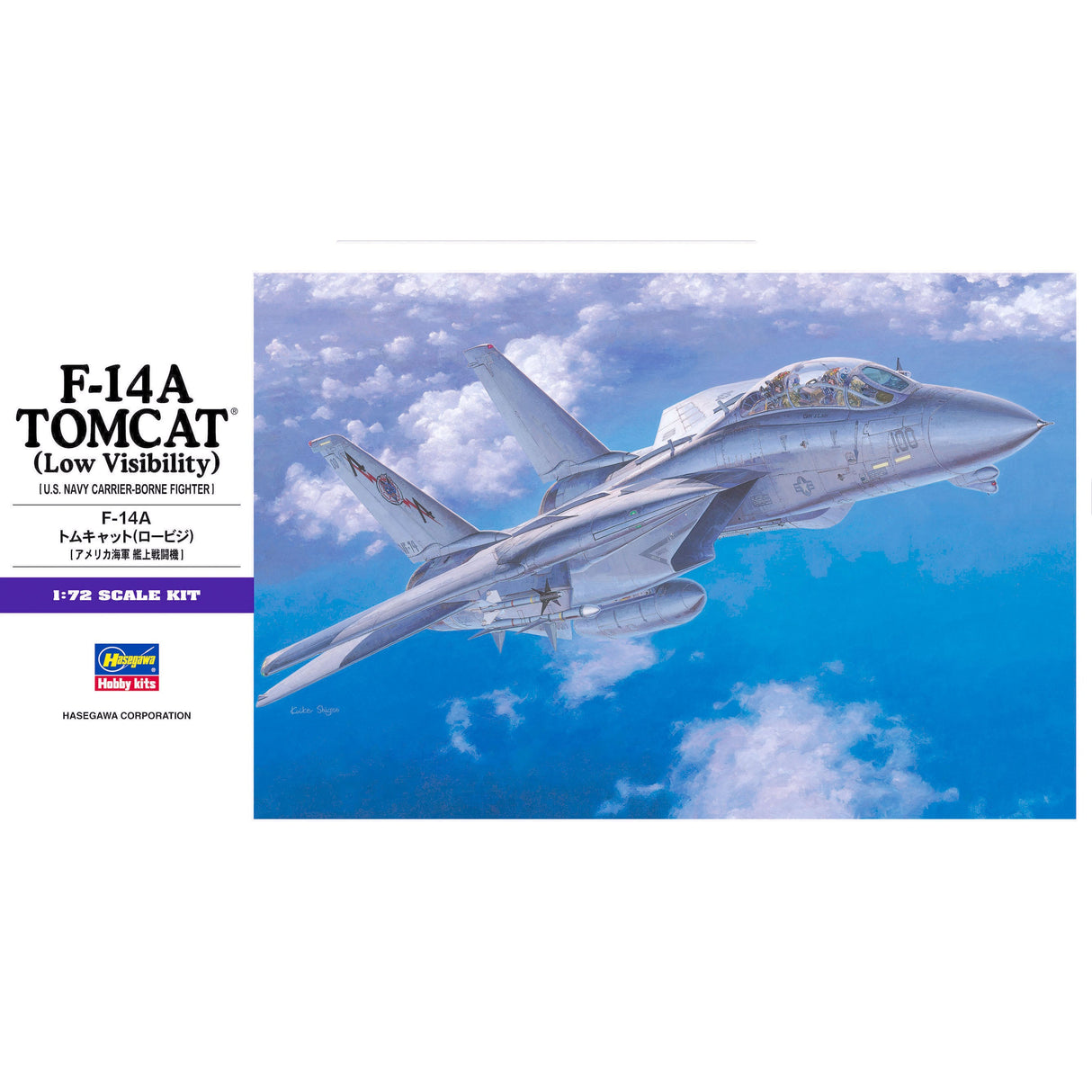 Hasegawa 1/72 F-14A Tomcat (Low Visibility)