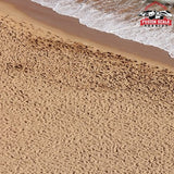 AK Interactive Terrains Beach Sand Texture 250ml - Fusion Scale Hobbies