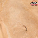 AK Interactive Terrains Sandy Desert Texture 250ml - Fusion Scale Hobbies