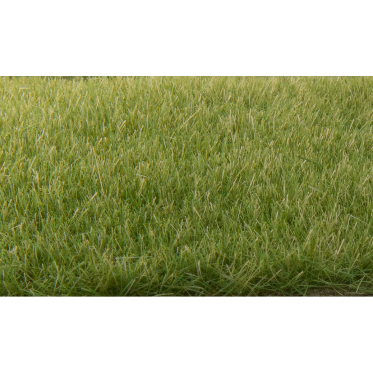 Woodland Scenics Static Grass Medium Green 4mm