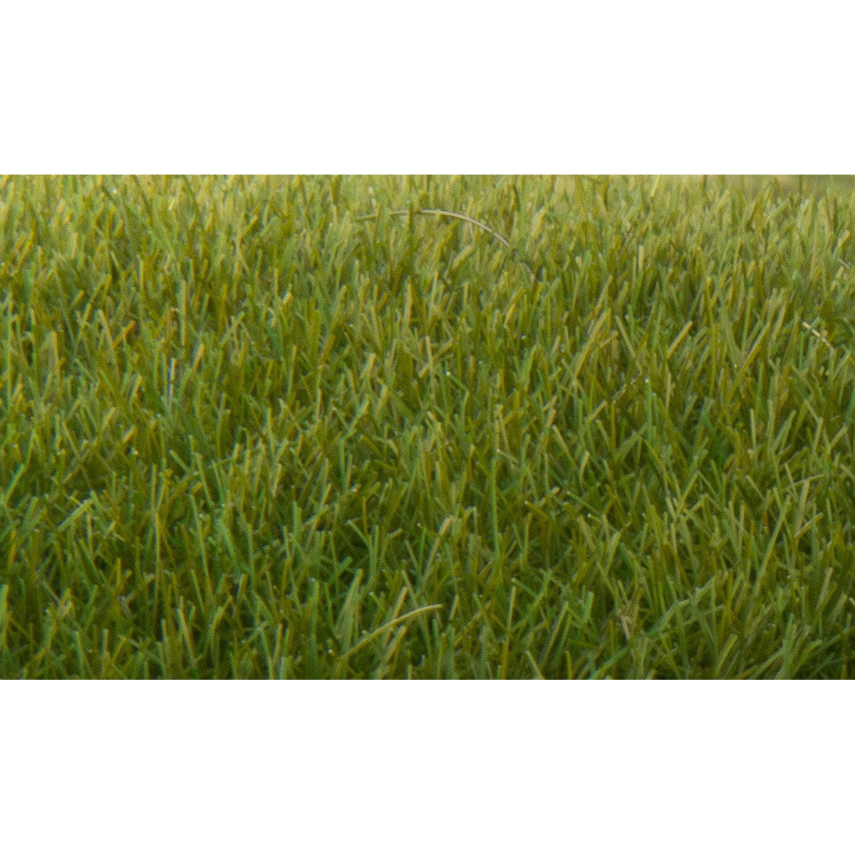 Woodland Scenics Static Grass Dark Green 7mm