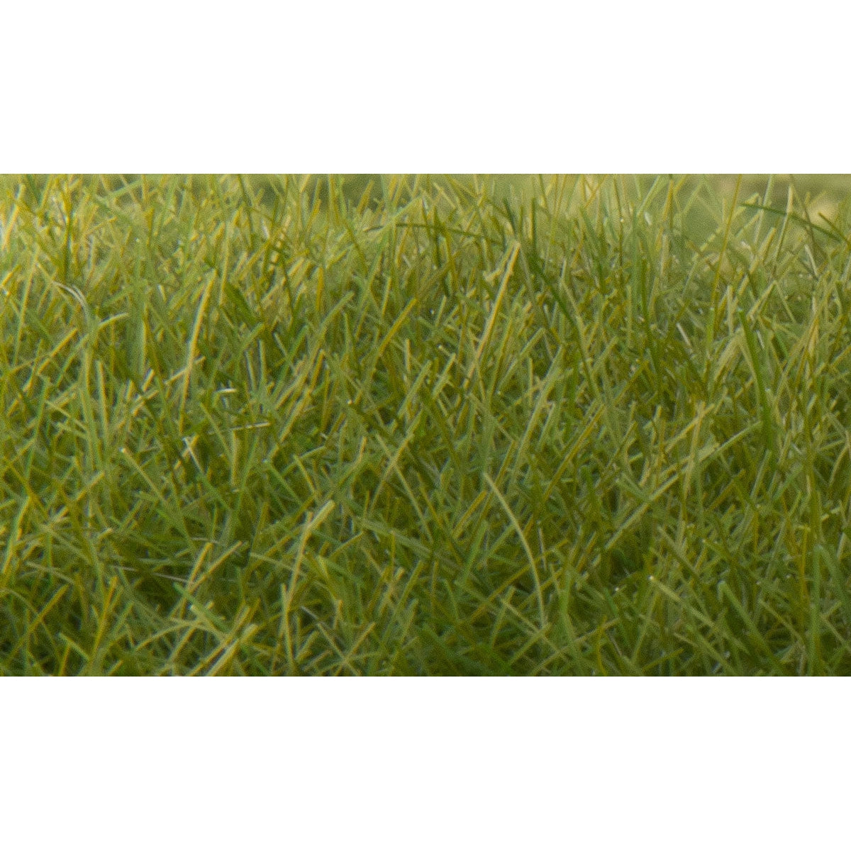 Woodland Scenics Static Grass Dark Green 12mm