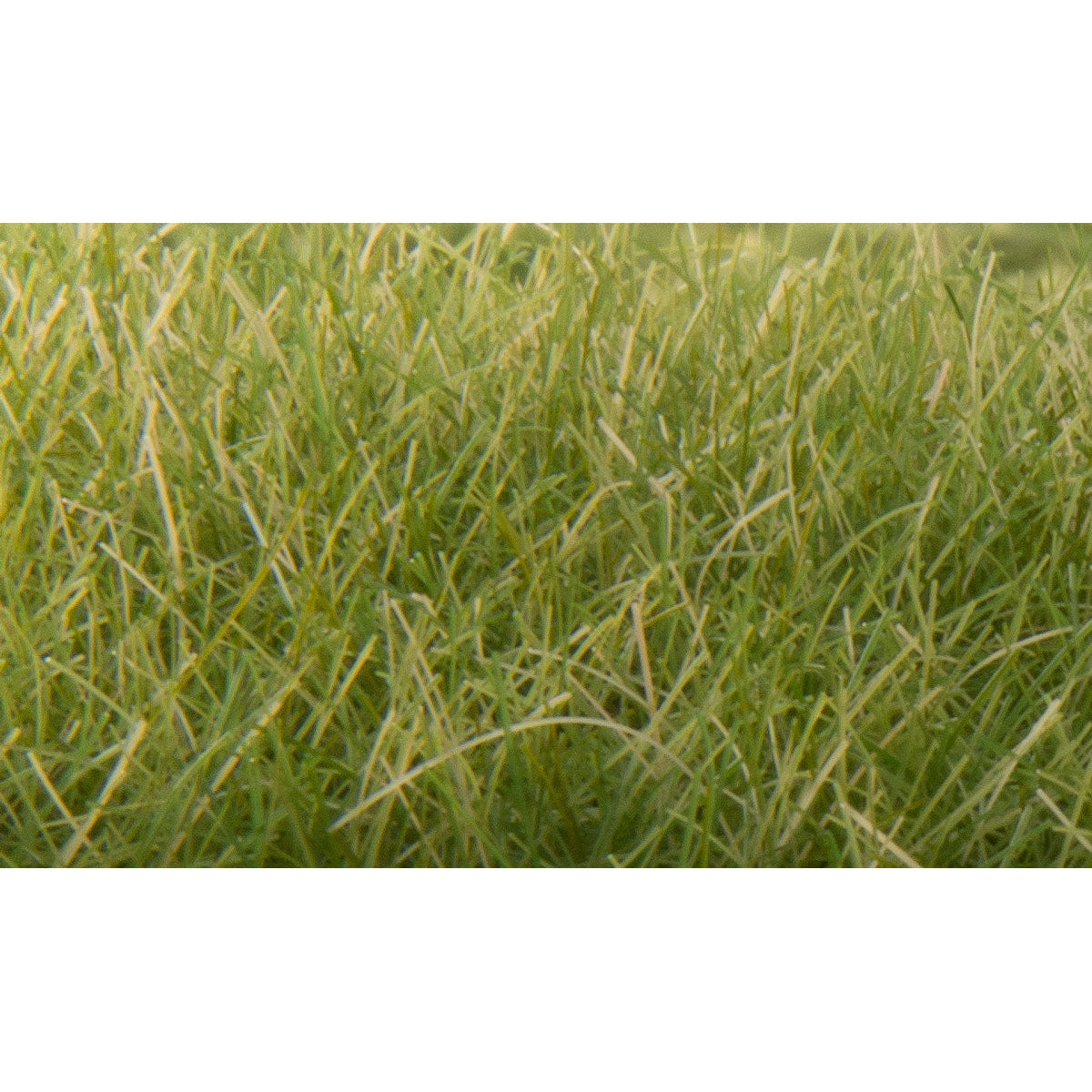 Woodland Scenics Static Grass Medium Green 12mm
