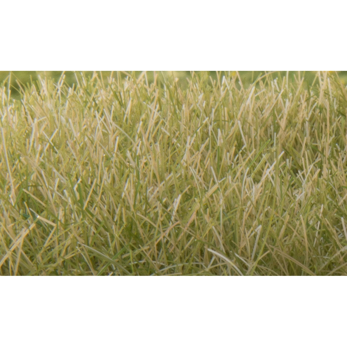 Woodland Scenics Static Grass Light Green 12mm