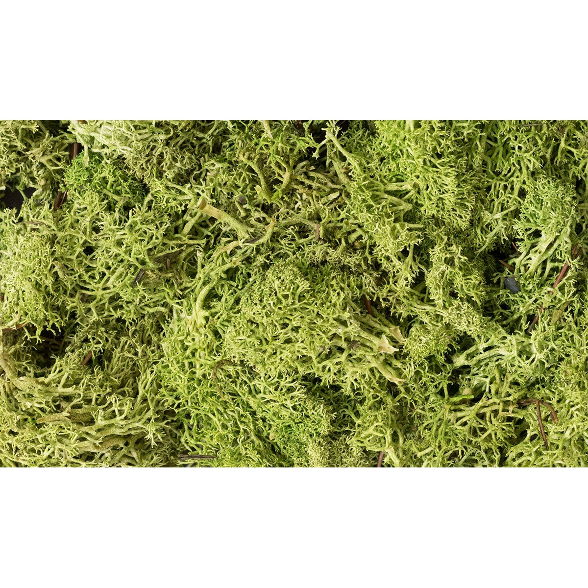 Woodland Scenics Lichen/Light Green