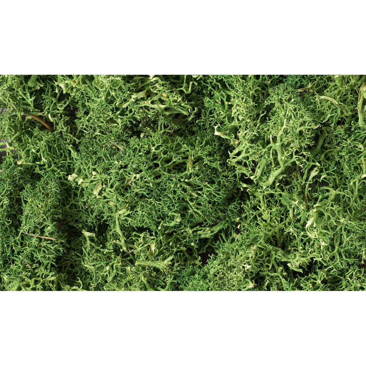 Woodland Scenics Lichen/Medium Green