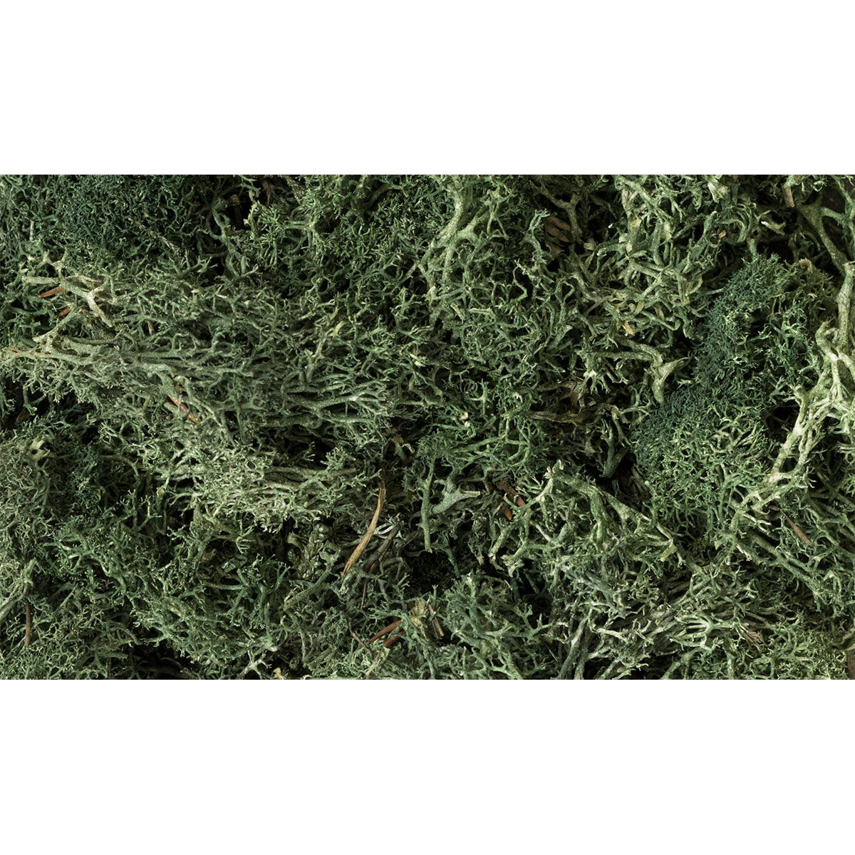 Woodland Scenics Lichen/Dark Green