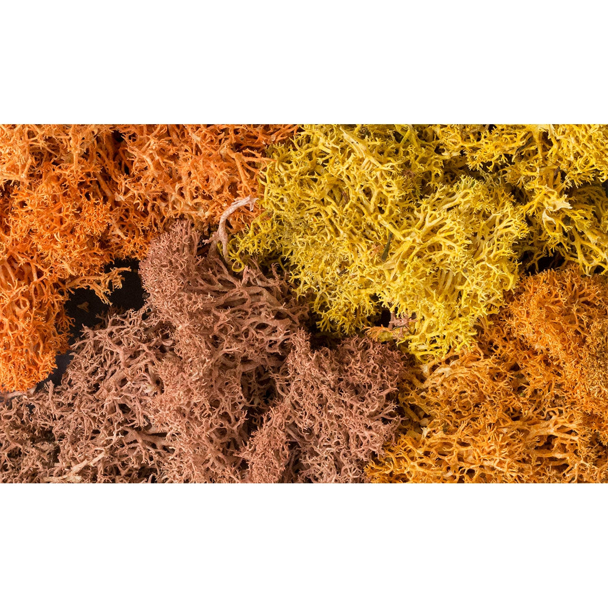 Woodland Scenics Lichen/Autumn Mix