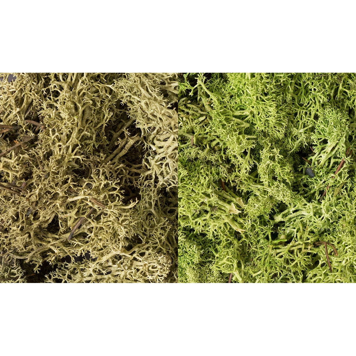 Woodland Scenics Lichen/Light Green Mix