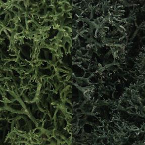 Woodland Scenics Lichen/Dark Green Mix