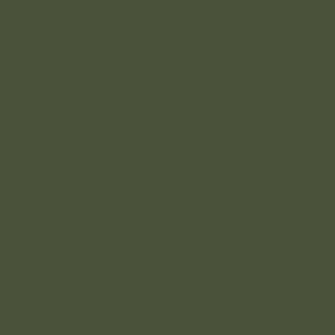 Mission Models Paint Russian Dark Olive  34102 1oz