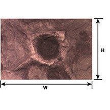 Plastruct Moon & War Craters Sheet 12" x 7" (2 per pack)