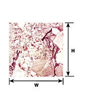 Plastruct Dollhouse Scale Rough Marble Paper Sheet 7-1/2" x 10" (1 per pack)