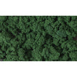Woodland Scenics Clump-Foilage Dark Green/1qt Model Parts Warehouse